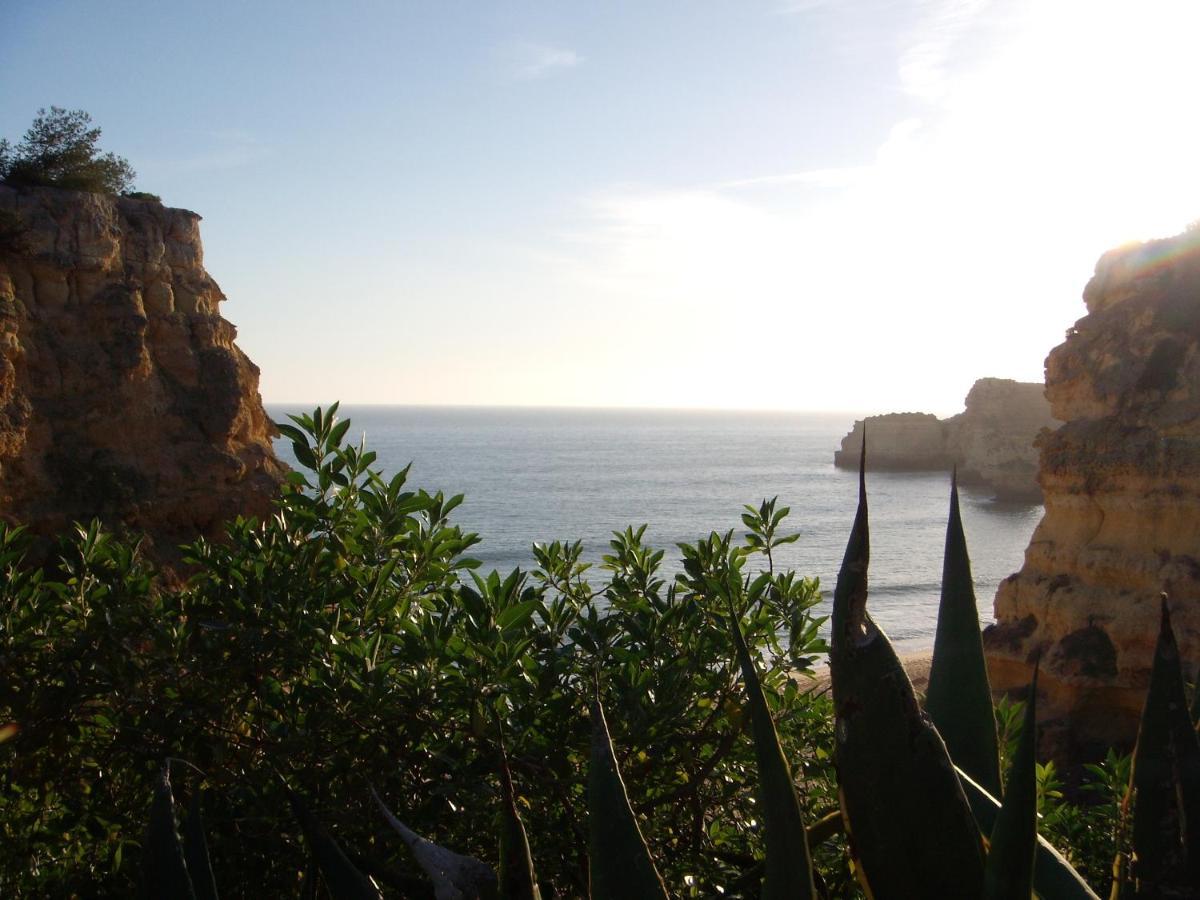 Holiday home Casa Alexandra